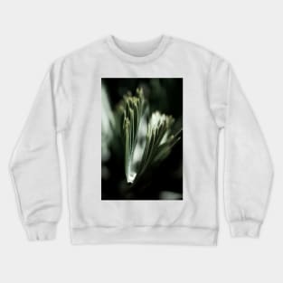 Palm Tree 03 Crewneck Sweatshirt